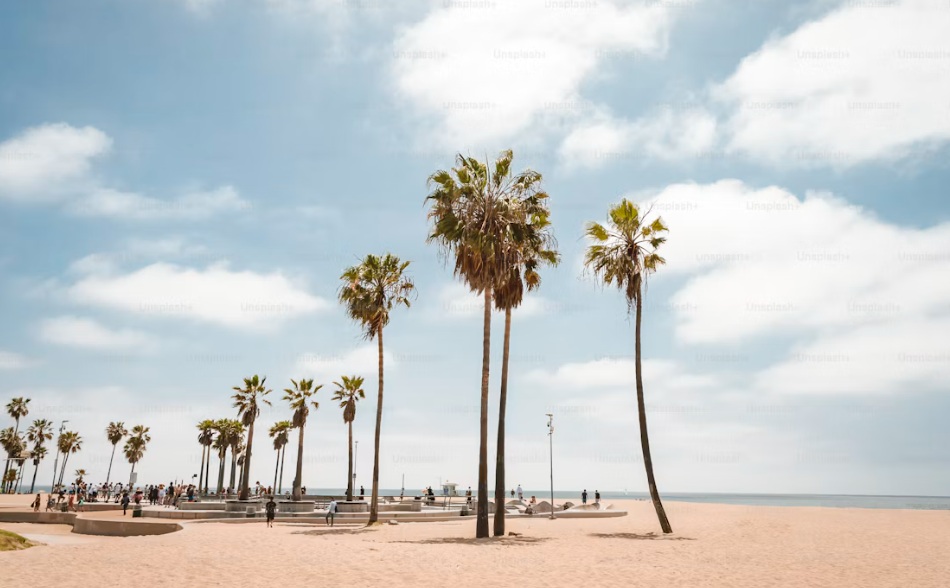 airbnb in LA