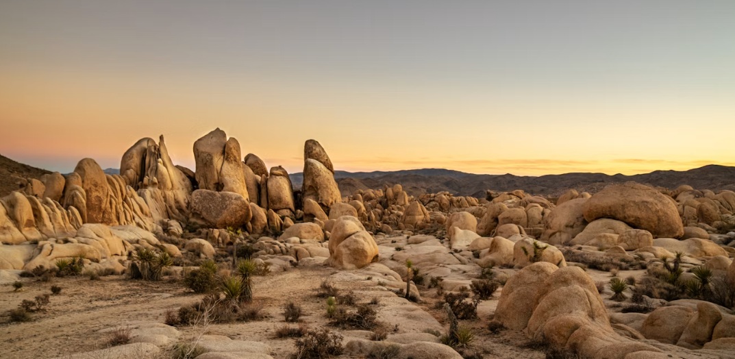 bounders in the joshua tree area